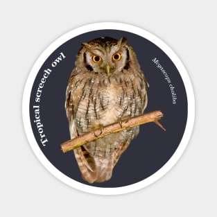 Tropical screech owl pin white text Magnet